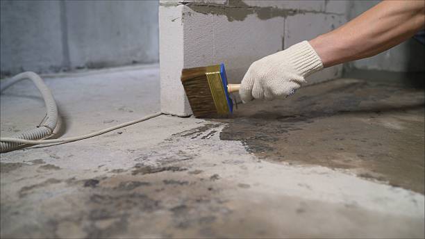 Top rated local Basement Waterproofing specialists in Edinburg, VA